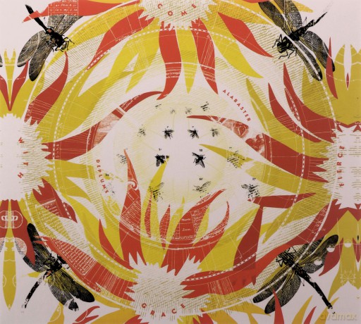 Alabaster Deplume: Come With Fierce Grace [CD]