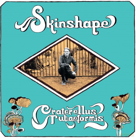 Skinshape: Craterellus Tubaeformis [CD]