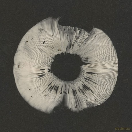 Cycles II (20th Anniversary Sampler) [2CD]