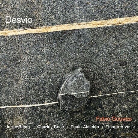 Fabio Gouvea: Desvio [CD]