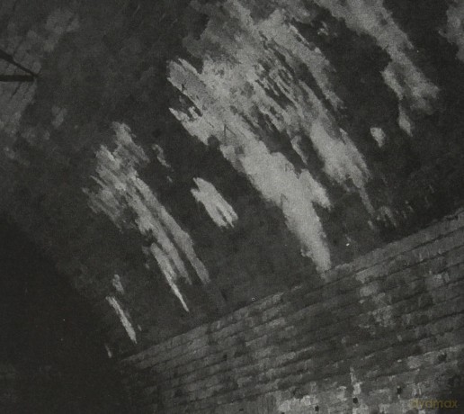 Svarte Greiner: Devolving Trust [CD]