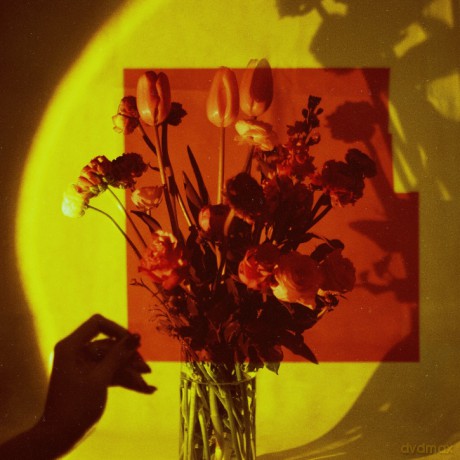 Selfishadows: Everything [CD]