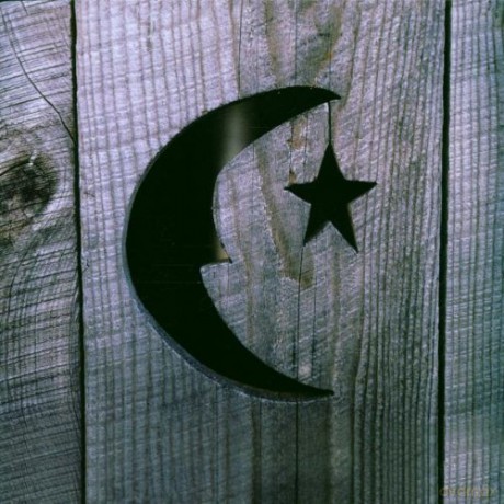 Phish: Farmhouse [CD]