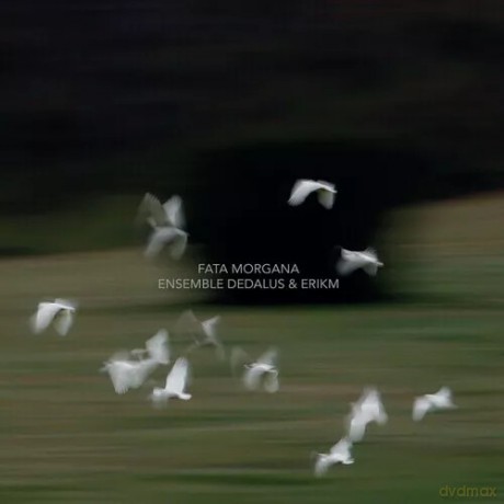Ensemble Dedalus: Fata Morgana [CD]