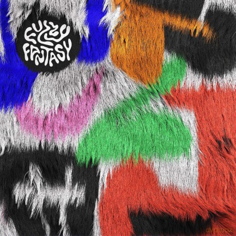 Coma: Fuzzy Fantasy [CD]