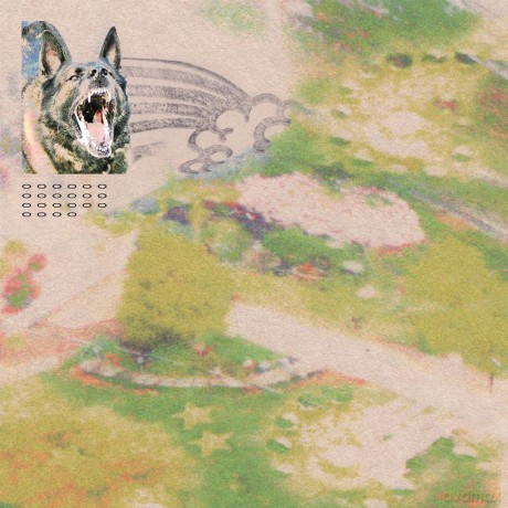 Feeble Little Horse: Girl With Fish [CD]