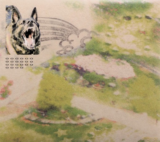 Feeble Little Horse: Girl With Fish [CD]