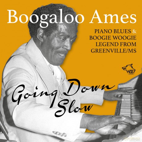 Ames Boogaloo: Going Down Slow [CD]