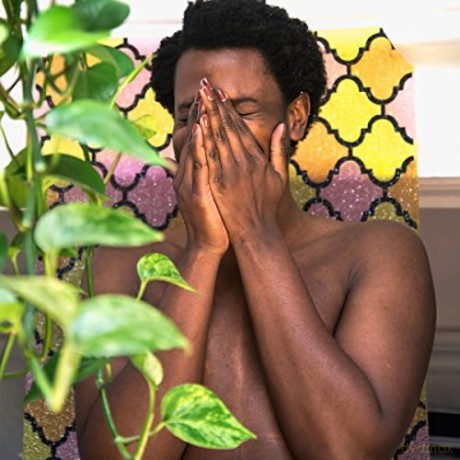 Shamir: Hope [CD]