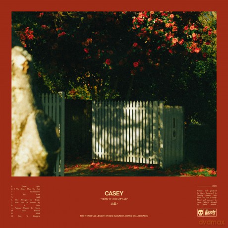 Casey: How To Dis [CD]