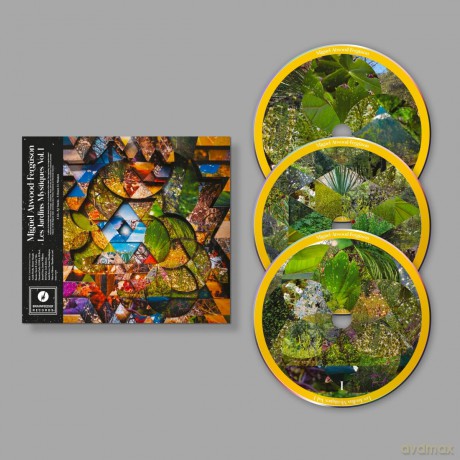 Miguel Atwood Ferguson: Les Jardins Mystiques Vol 1 [3CD]
