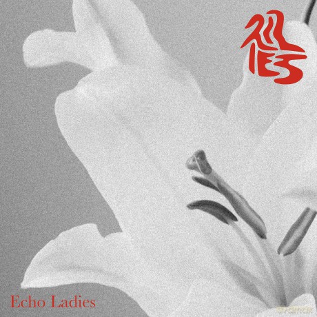 Echo Ladies: Lilies [CD]