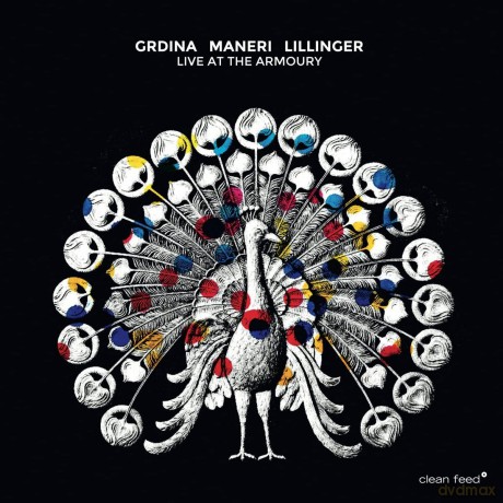 Grdina/Maneri/Lillinger: Live At The Armoury [CD]