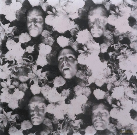 The Legendary Pink Dots: Lovers [CD]