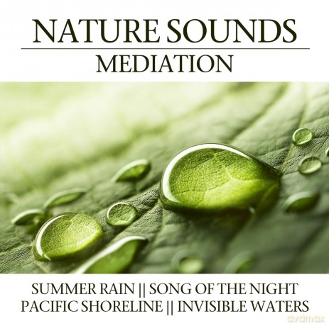 Nature Sounds Meditation [CD]
