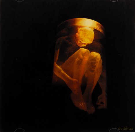 Alice In Chains: Nothing Safe - The Best Of The Box [CD]