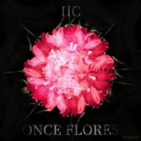 Istituto Italiano Di Cumbia: Once Flores [CD]