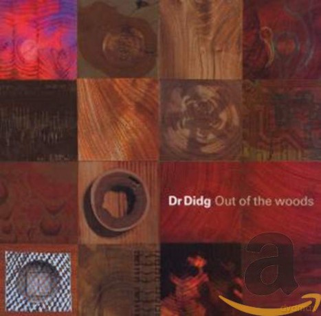 Dr. Didg: Out Of The Woods [CD]