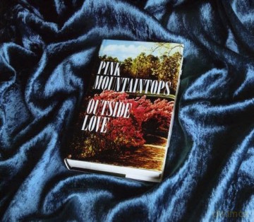Pink Mountaintops: Outside Love [CD]