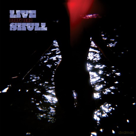 Live Skull: Party Zero [CD]