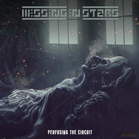 Missing In Stars: Perfusing The Circuit [CD]