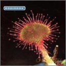 Brainbox: Primordia [CD]