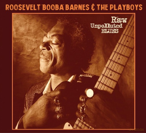 Roosevelt Booba Barnes And The Playboys: Raw Unpolluted Blues [CD]