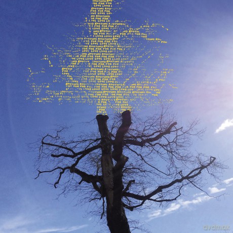 Laetitia Sadier: Rooting For Love [CD]
