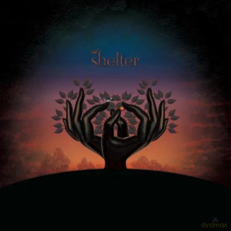 Laughing Stock: Shelter [CD]