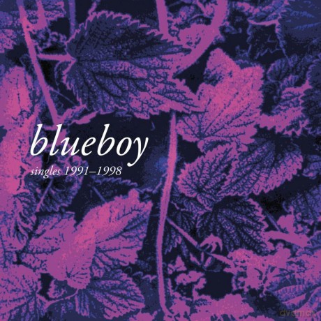 Blueboy: Singles 19 [CD]