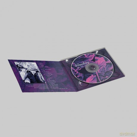 Blueboy: Singles 19 [CD]