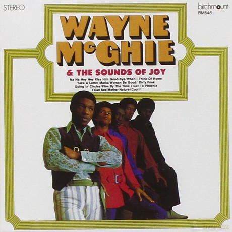 Wayne Mcghie: Sound Of Joy [CD]