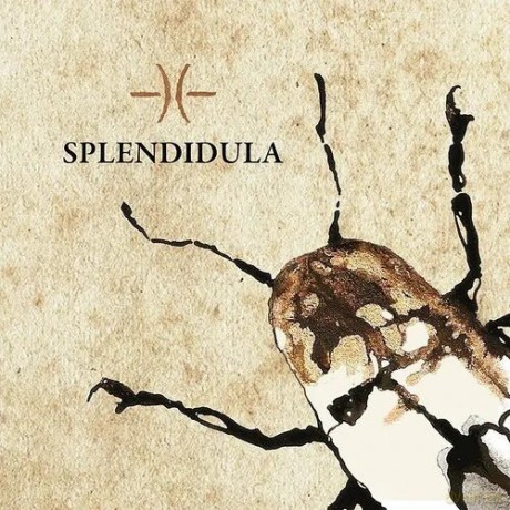 Splendidula: Splendidula [CD]