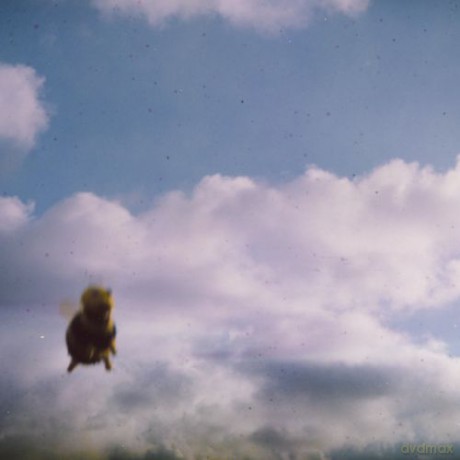 Pond: Stung! [CD]