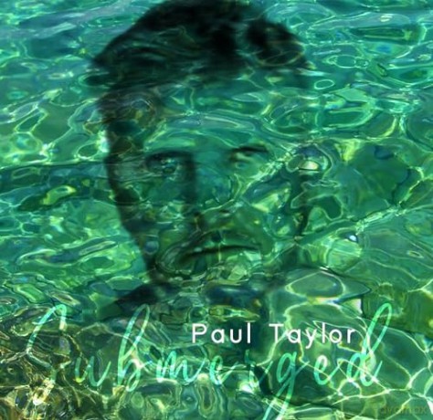 Paul Taylor: Submerged [CD]
