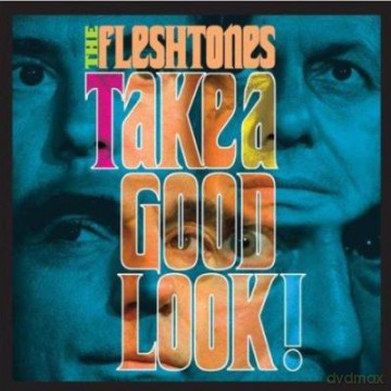 The Fleshtones: Take A Good Look! [CD]