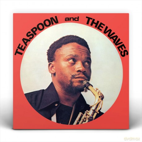 Teaspoon And The Waves: Teaspoon And The Waves [CD]
