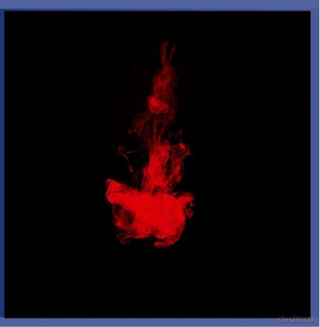 Weird Fate: The Collapse of All That Has Been [CD]