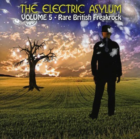 The Electric Asylum Vol 5 [CD]