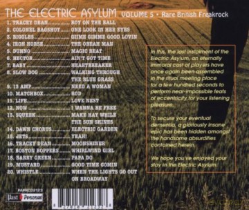 The Electric Asylum Vol 5 [CD]