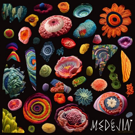 Medejin: The Garden [CD]
