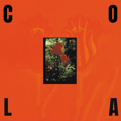 Cola: The Gloss [CD]