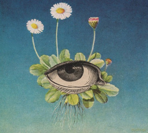 Ojerum: The Limited Circle Is Pure [CD]