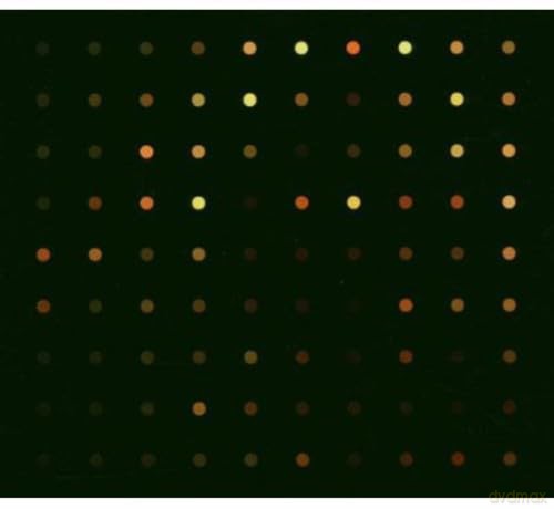 Jean-Paul Bondy: The Path of Most Resistors [CD]