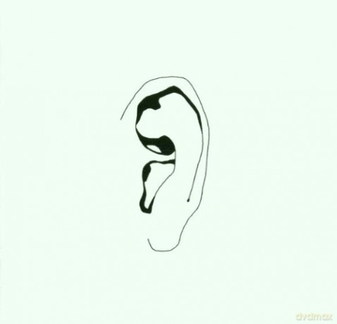 Spinform: To Hear Is Not To Listen [CD]