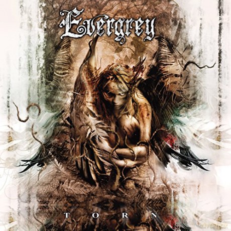 Evergrey: Torn [CD]