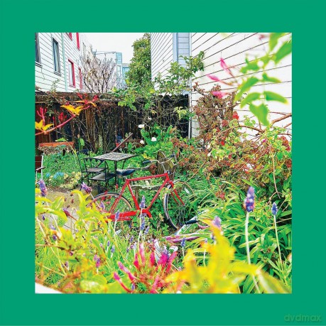 Reds Pinks And Purples: Unwishing Well [CD]