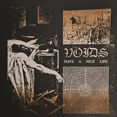 Have A Nice Life: Voids [CD]