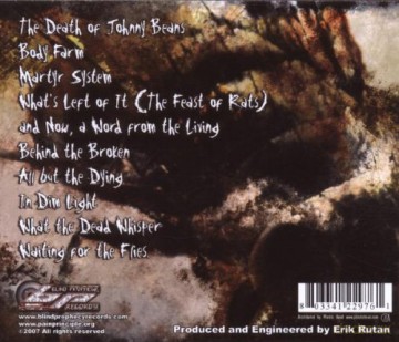Pain Principle: Waiting For The Flies [CD]