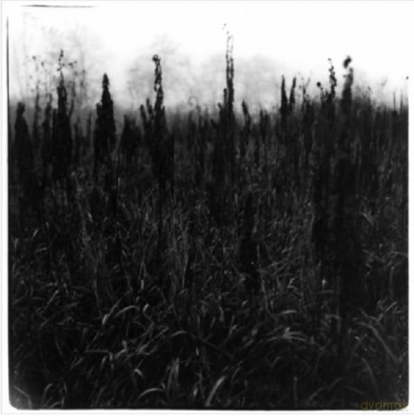 Within Reach Of Eventuality [CD]